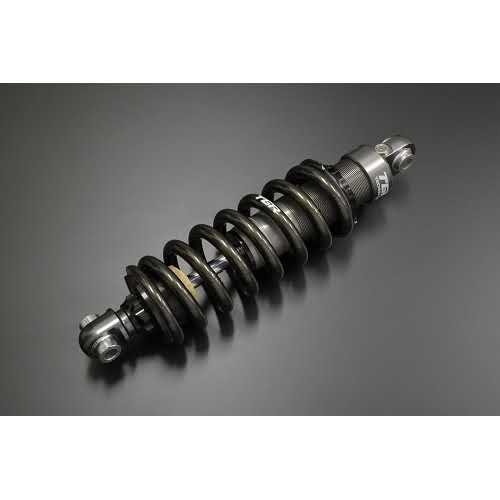 TEC-1.1 パフォーマンスショック WR125R