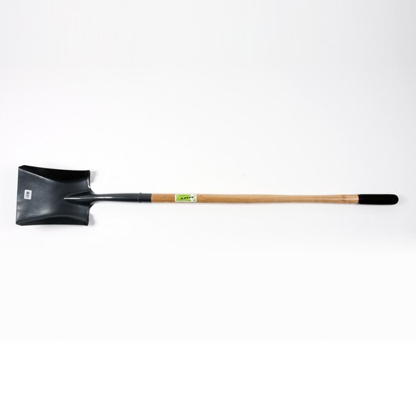 lc61_0305.jpg?w=532&h=399&